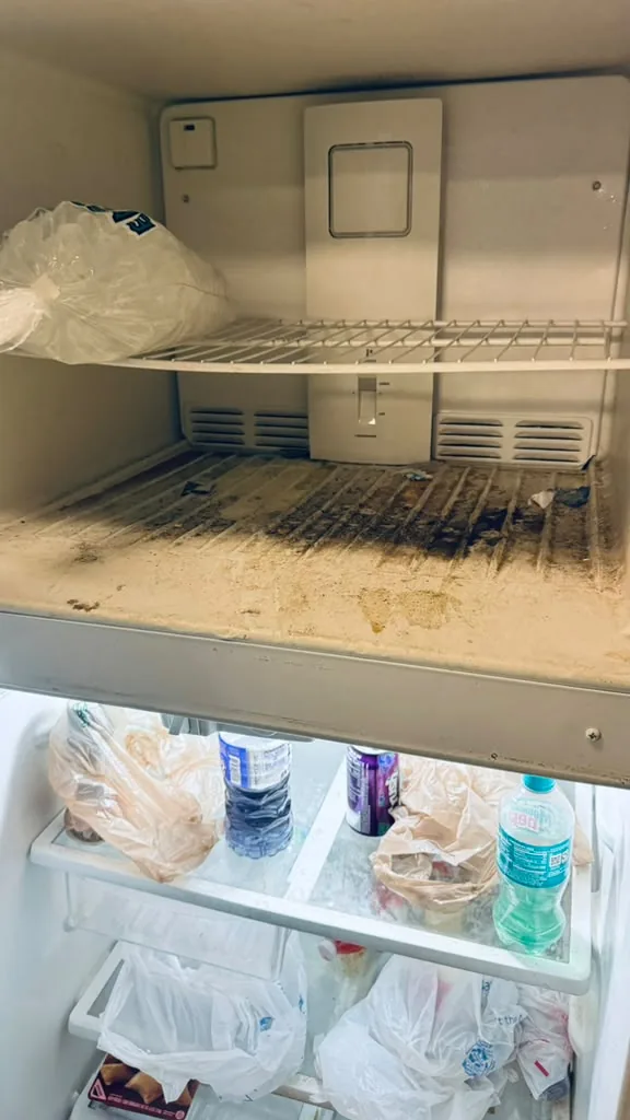 Refrigerator and freezer interior before cleaning — grime and spills on shelves, Greater Boston, MA