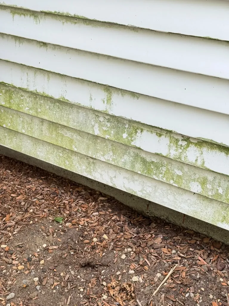 Repainted home exterior near Devens, MA